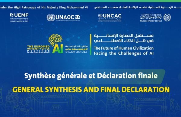 GENERAL SYNTHESIS AND FINAL DECLARATION