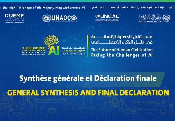 GENERAL SYNTHESIS AND FINAL DECLARATION